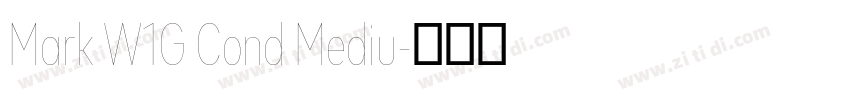 Mark W1G Cond Mediu字体转换 Mark W1G Cond Mediu字体转换